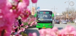 开往春天的公交车来了 6条都市观光线路载你赏花游 - 重庆晨网