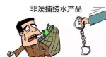 重庆市禁渔期首月 没收或放生渔获物382.4公斤 - 重庆晨网