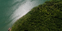 航拍长江江畔睦和村 “摇钱树”筑起三峡库区生态屏障 - 重庆晨网