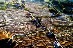 仙境不过如此！刷屏的重庆盐井梯田最全美颜照在这里 - 重庆晨网