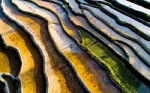 仙境不过如此！刷屏的重庆盐井梯田最全美颜照在这里 - 重庆晨网