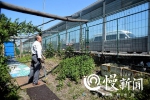 重庆珍档 | 重庆这座私家花园 接待过30多个国家和地区的来宾 - 重庆晨网