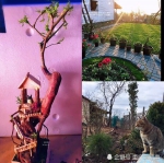 暖哭！24岁重庆小伙花两年给11岁妹妹建梦幻花园 - 重庆晨网