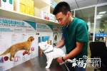 90后“宠物管家”杨益华：我与宠物互相治愈 - 重庆晨网
