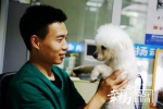 90后“宠物管家”杨益华：我与宠物互相治愈 - 重庆晨网
