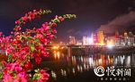 多图预警！万州滨江沿岸三角梅怒放，引大批游客观赏 - 重庆晨网