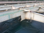 嘉陵江大桥右幅开始安装钢面板，每日安装16延米 - 重庆晨网