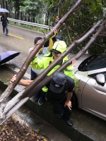 暴雨后江北民警抬树救车 - 公安厅