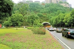 主城园林绿化品质提升初见成效 - 重庆新闻网
