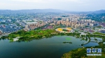 双桂湖国家湿地公园成梁平“城市绿肺” - 重庆晨网