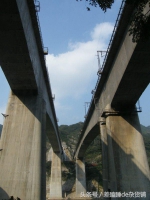 重庆龙门阵之世界最密集桥梁——六座大桥挤一堆，排排坐，吃果果 - 重庆晨网