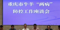 重庆市农委召开全市牛羊“两病”防控工作座谈会 - 农业厅