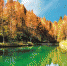 山王坪公园里，水杉和水潭共同构成了望月湖景观。（本报资料图片） - 重庆新闻网