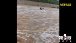 山洪暴发还强行驾车过河 5人被困车顶险被冲走 - 重庆晨网
