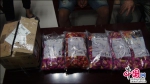 重庆九龙坡警方破获重大毒品案缴获海洛因近3公斤 - 公安厅