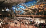 重庆才是真正的《侏罗纪世界》，被誉为“建在恐龙脊背上的城市” - 重庆晨网