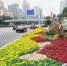 高颜值绿化景观亮相红锦大道 四季有花开一年有花看 - 重庆晨网