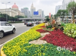 高颜值绿化景观亮相红锦大道 四季有花开一年有花看 - 重庆晨网