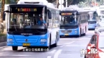 重庆定制公交的尴尬：坐过的都说好 但知道的人太少 - 重庆晨网