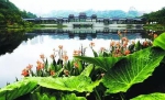 重庆主城竟藏有这么多美丽的湖泊，坐公交就能到！ - 重庆晨网