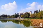 填报高考志愿前，看看重庆校园美景吧！说不定就去了哦 - 重庆晨网
