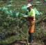 永川区：农机新技术助推花椒产业发展 - 农业机械化信息