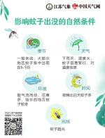 全国首个“蚊子出没预报”发布 今夜到明天凌晨重庆是“重灾区” - 重庆晨网