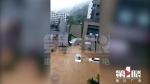 现场视频来了！武隆部分城区被淹，山洪穿城而过 - 重庆晨网