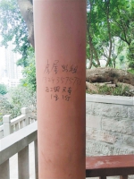 谁这么缺德！解放碑人民公园正改造 亭柱已现“牛皮癣” - 重庆晨网