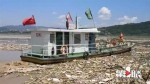 长江江面上出现万吨漂浮物 长达5公里 - 重庆晨网