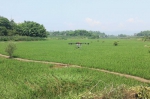 梁平区：开展无人植保作业推进水稻生产全程机械化试验示范 - 农业机械化信息