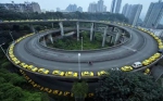 重庆网红景点将大变脸：南岸旋转立交桥下或长出巨型“山茶花” - 重庆晨网