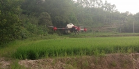 垫江县：无人机植保助力水稻全程机械化生产 - 农业机械化信息