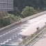 高速路窜出小狗 驾驶员一个动作导致车辆瞬间翻覆 - 重庆晨网