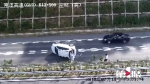 高速路窜出小狗 驾驶员一个动作导致车辆瞬间翻覆 - 重庆晨网