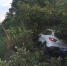 这是要起飞？高速上油门当刹车踩 小车“飞进”路边6米高灌木丛 - 重庆晨网