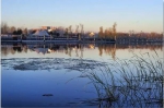 重庆这八大湿地公园，个个颜值爆表 - 重庆晨网