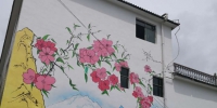 金溪镇清水村人居环境整治和文化墙项目初显成效 - 卫生厅