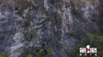 奇！山中石崖现巨型“老鼠” - 重庆晨网