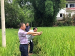 中国农大专家来渝指导我市水稻机械化生产 - 农业机械化信息