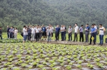与会人员参观巫溪县黑草坝高山蔬菜基地 - 农业厅