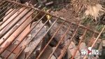 杨家坪一小区围墙雨后坍塌数十米，物管：正在排危修复 - 重庆晨网