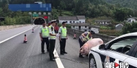 300多斤的“大猪佩奇”在高速路上乱窜 让一群执法人员操碎了心 - 重庆晨网