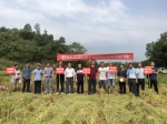重庆市主要农作物生产全程机械化示范项目水稻测产研讨会在垫江县成功召开 - 农业机械化信息
