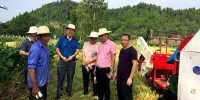 丰都县：加强水稻机收期间农机安全检查 - 农业机械化信息