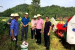 丰都县：加强水稻机收期间农机安全检查 - 农业机械化信息