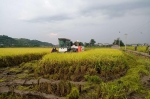 潼南区：水稻机收工作全面展开 - 农业机械化信息