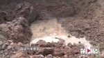 重庆一乡村有人出动挖掘机挖乌木 当地政府介入调查 - 重庆晨网