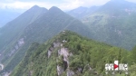 900米！重庆最大高度差悬崖秋千项目在丰都开放 - 重庆晨网