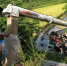 图为农户在田边接收收割机放出的稻谷 - 农业机械化信息
